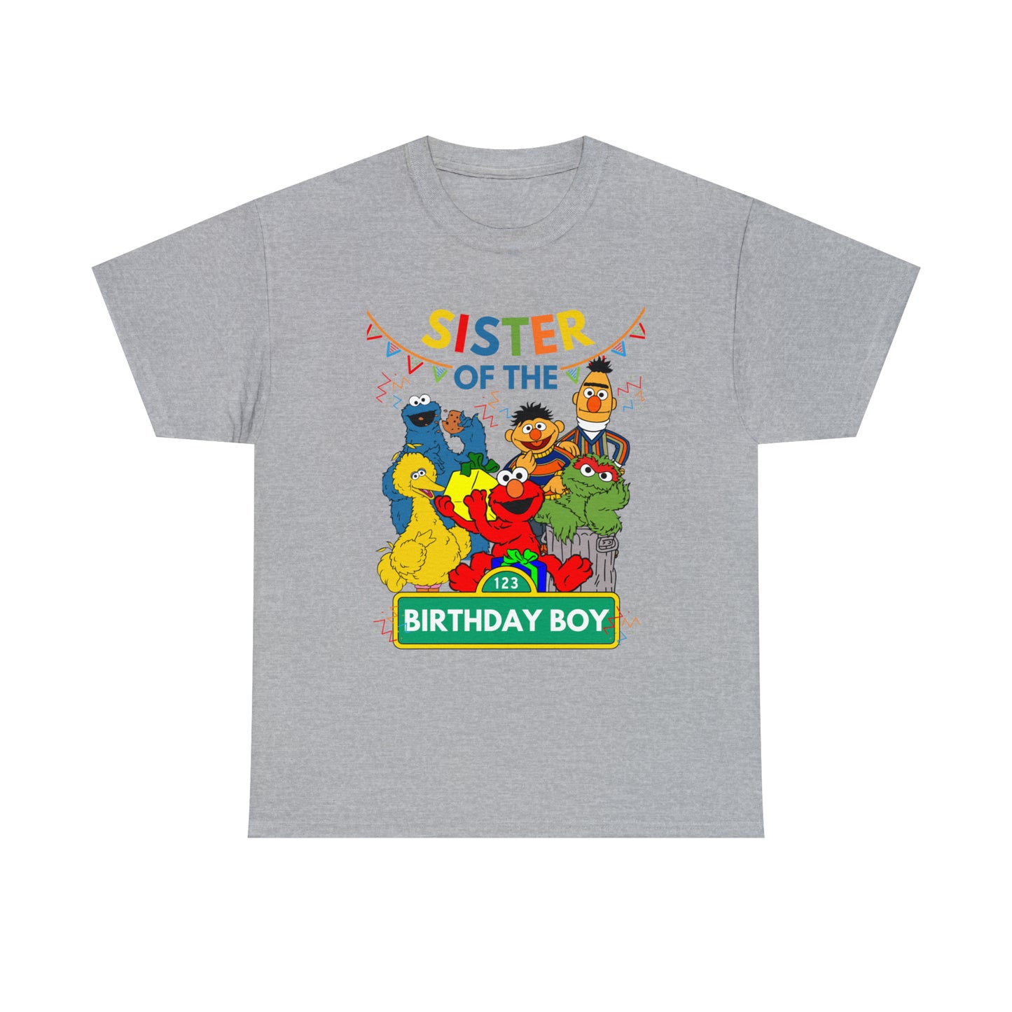Sesame Street / Elmo / Birthday Boy/ Sister (Adult)