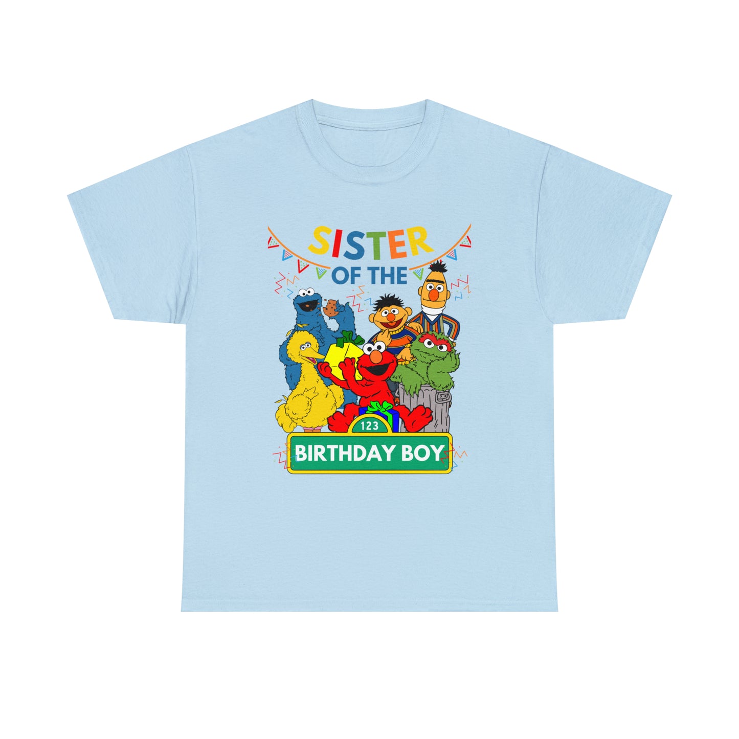 Sesame Street / Elmo / Birthday Boy/ Sister (Adult)