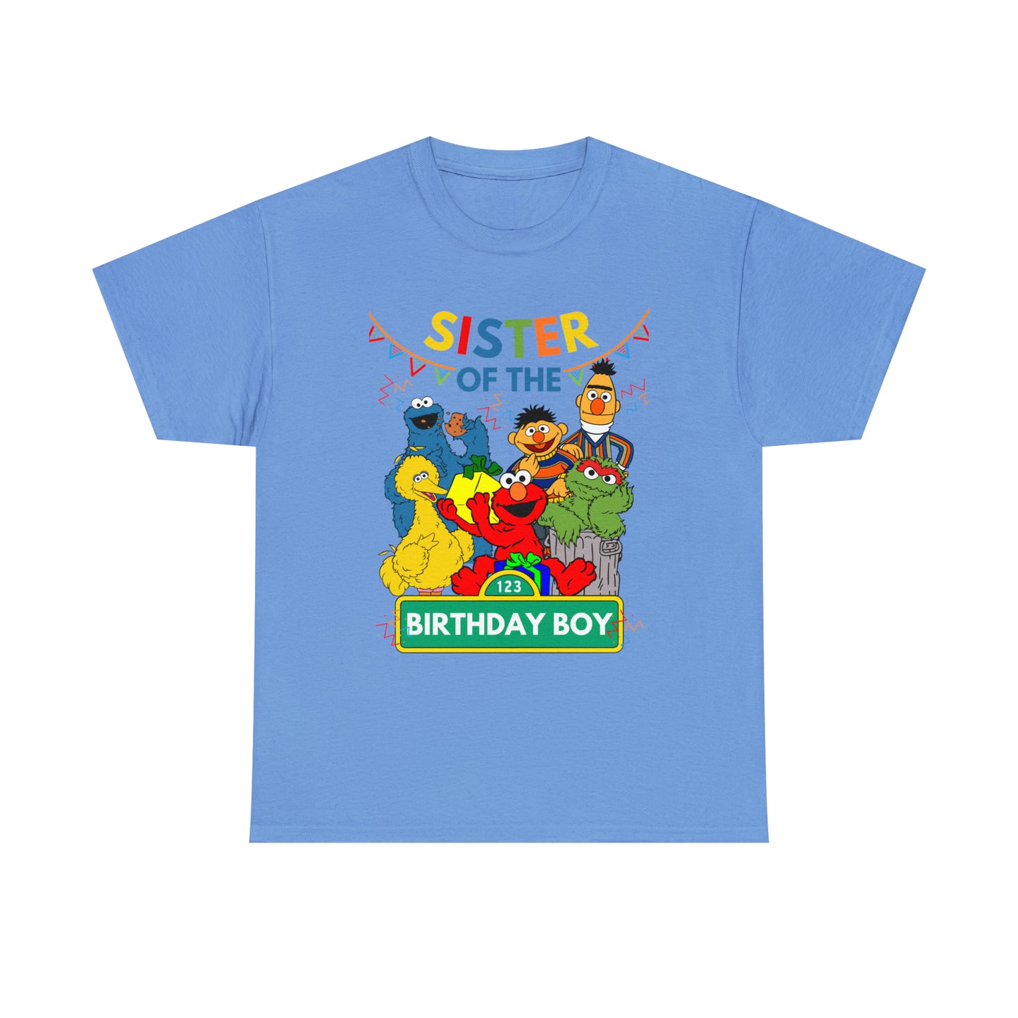 Sesame Street / Elmo / Birthday Boy/ Sister (Adult)