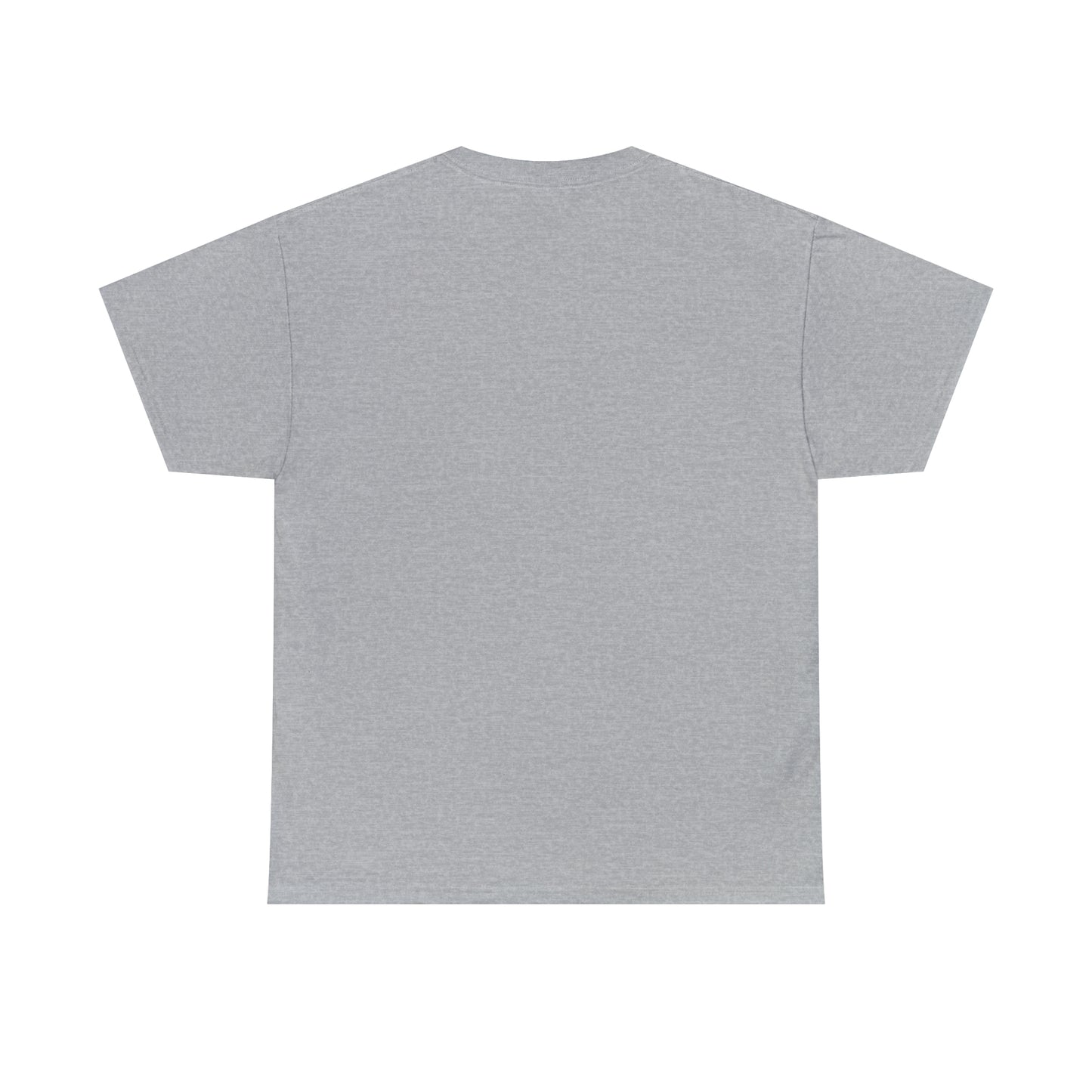 Cecilia Primary - Spirit Day / Classic / Unisex Heavy Cotton Tee